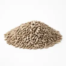 Sunflower Kernels | Roasted & Unsalted