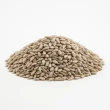 Sunflower Kernels | Lightly Sea Salted