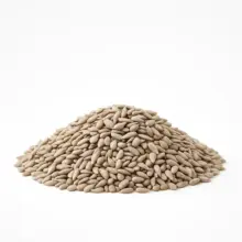 Sunflower Kernels | Sea Salted