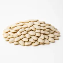 In-Shell Pumpkin Seeds | Raw