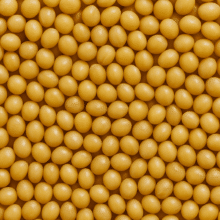 Grains category