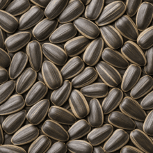 Seeds category